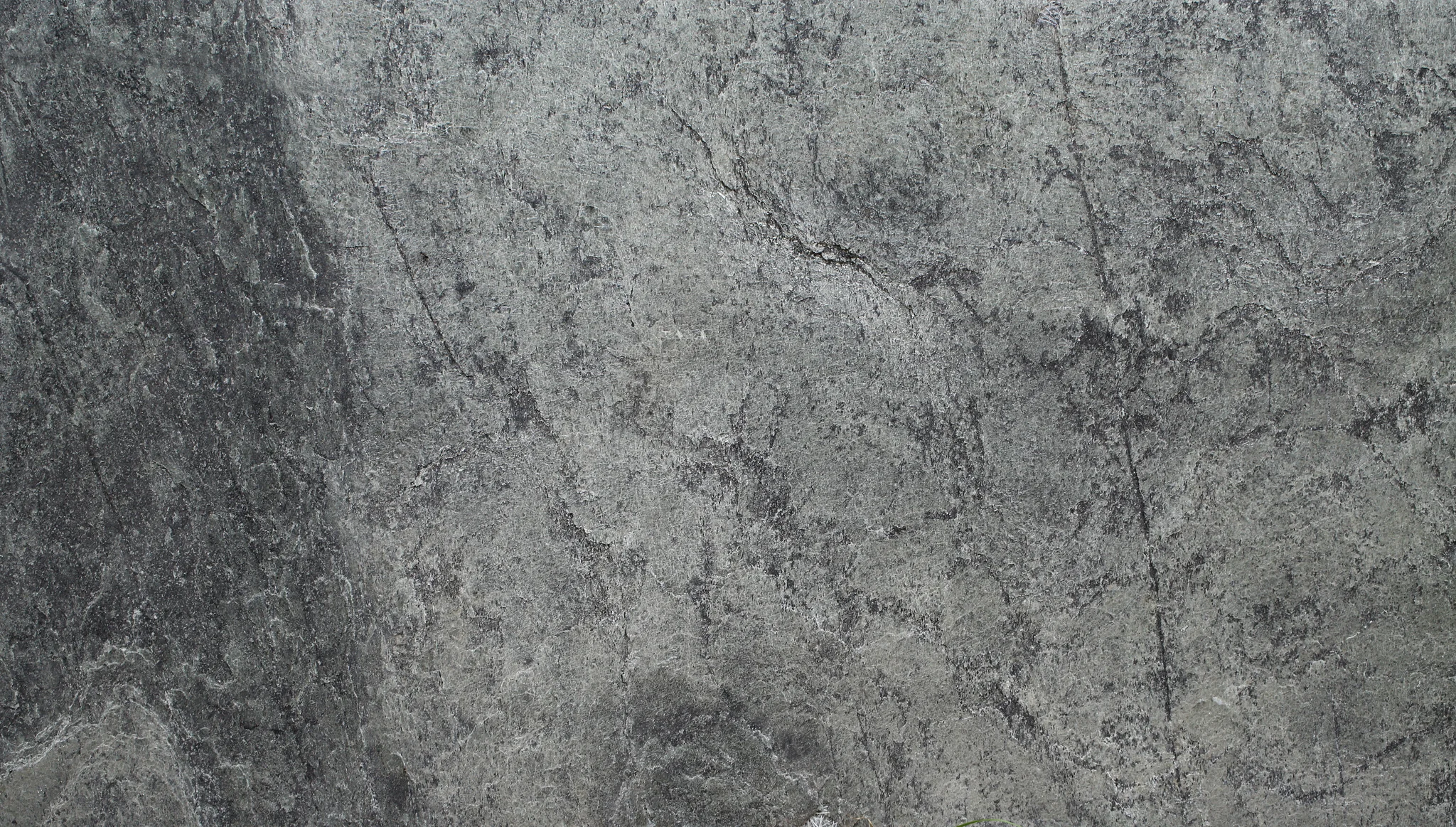 LAMSTONE BOSTON 24 X 48 - 7.75 PI2
