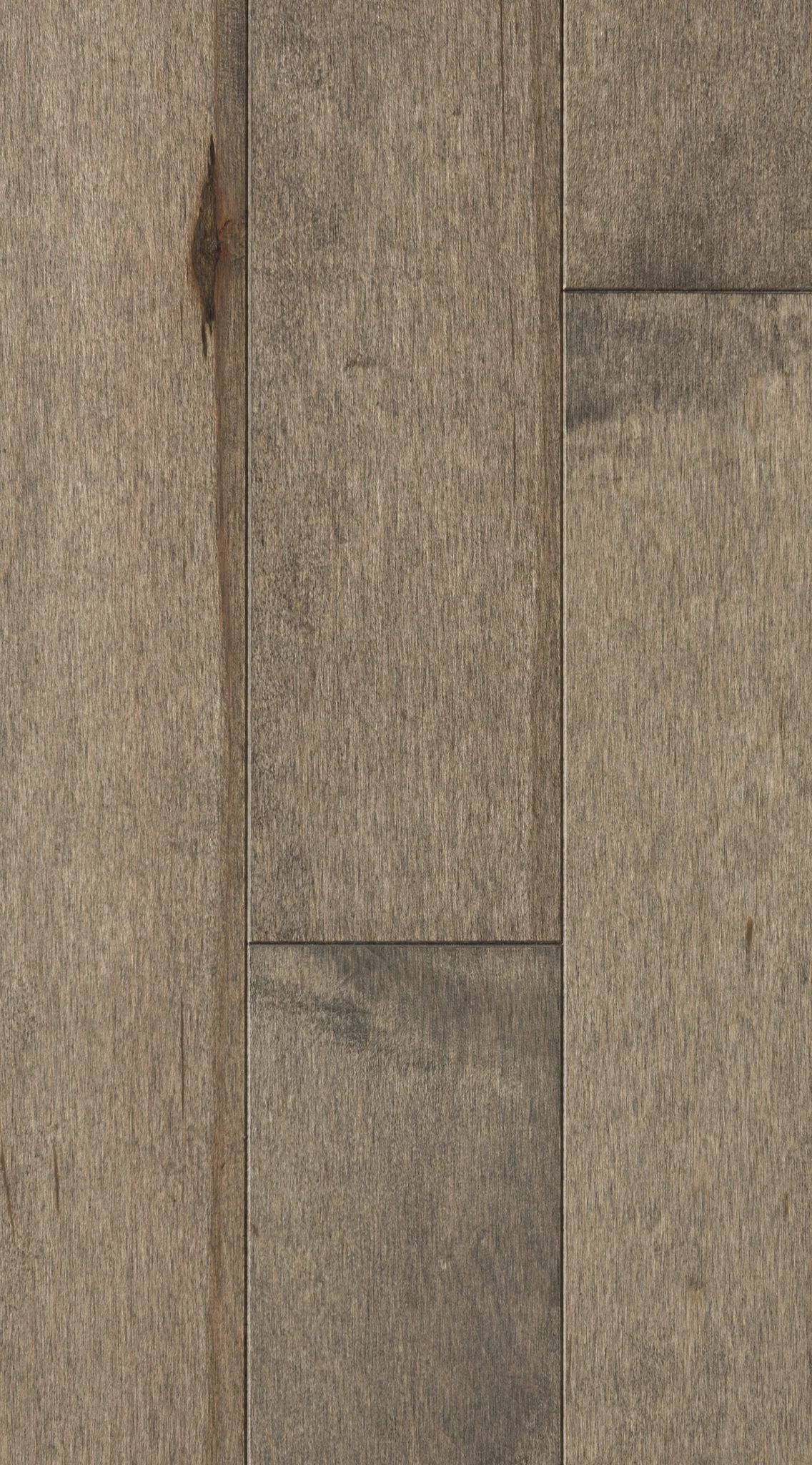 PRO Érable - Concrete Grey - PRO Mat