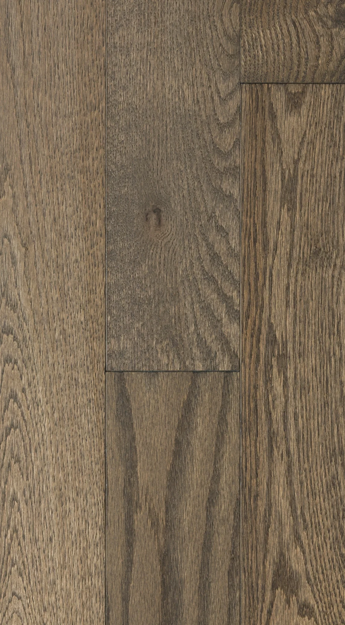 PRO Chêne rouge - Concrete Grey - PRO Mat