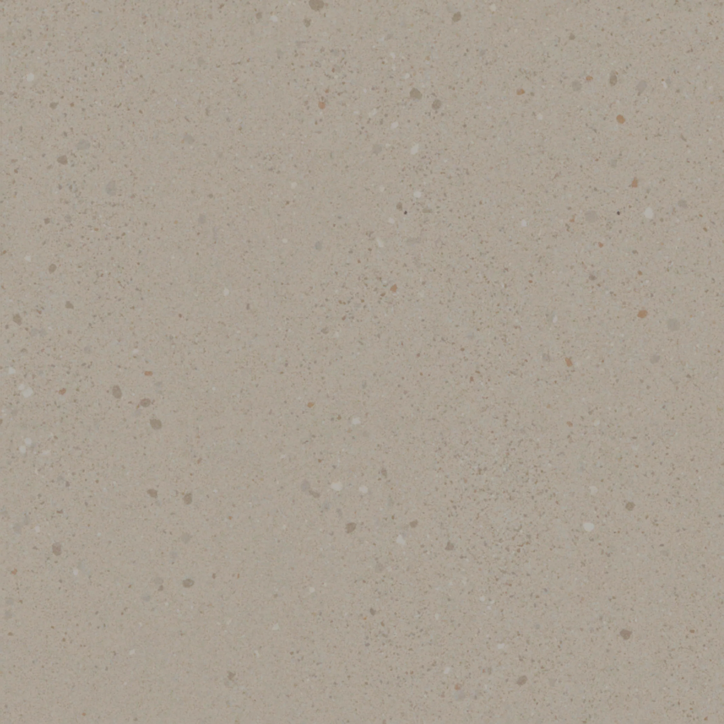 Overcome White levigato -  Polie - Image 3