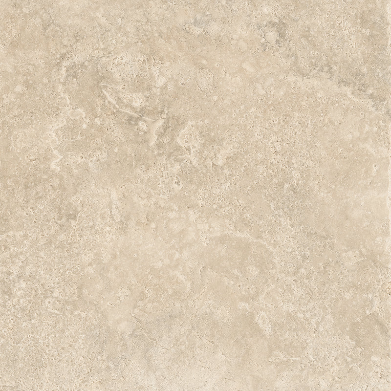 THEORY BEIGE